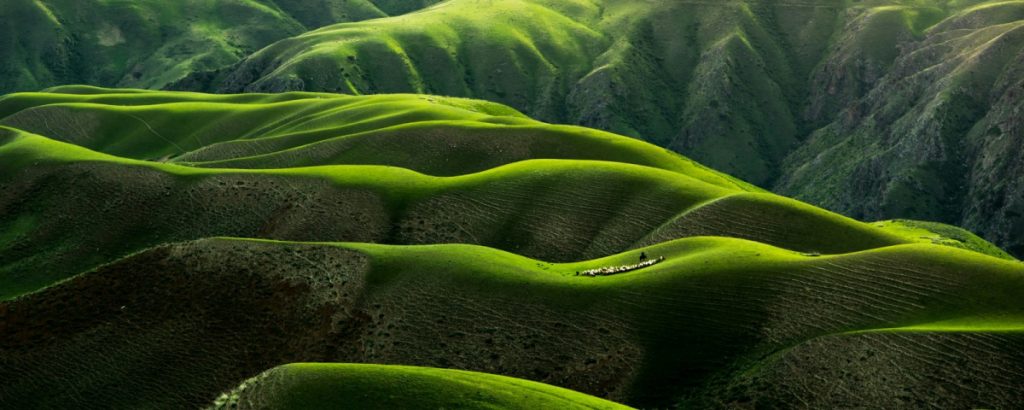 our-services-1 Our Services 1 1024x410 1